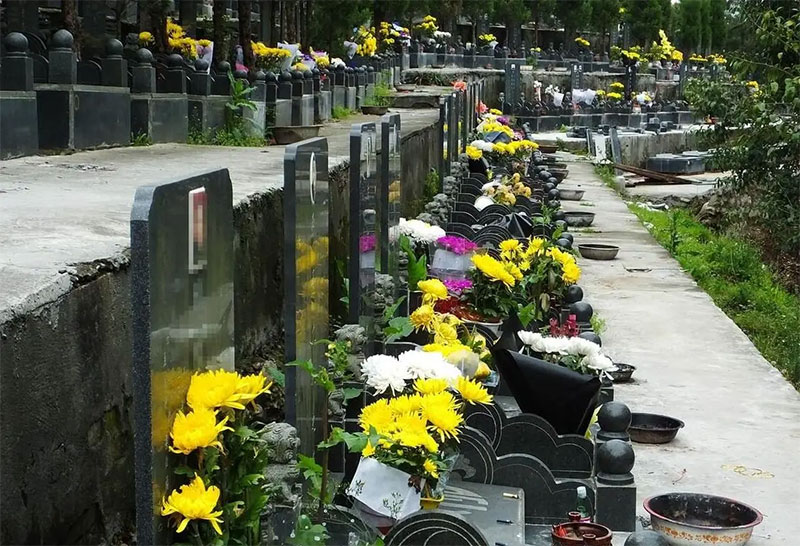 扫墓新风尚与文化冷知识 扫墓新风尚与文化冷知识