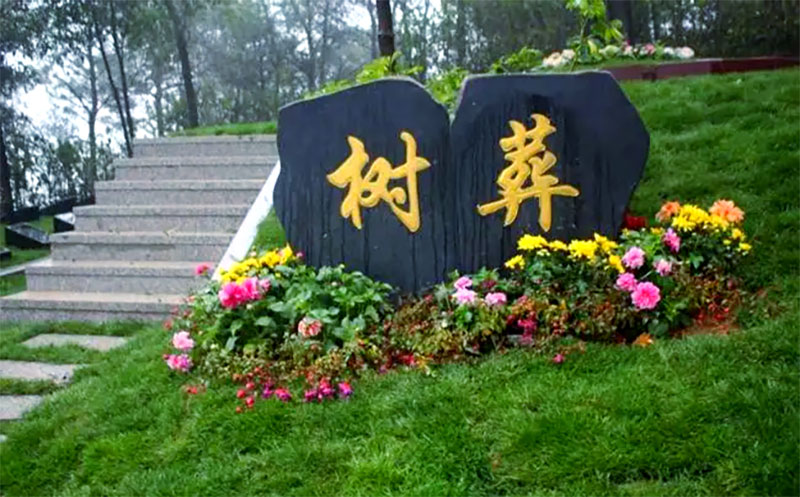 什么是树葬？树葬的来源