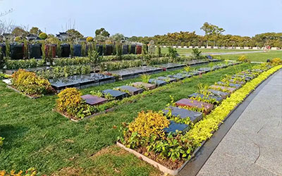 昆明一块墓地多少钱？昆明为何推广“生态葬”？