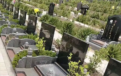 昆明陵园墓地的使用年限是多久？到期后如何续费和续期？