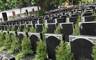 昆明墓园墓地朝向（三）