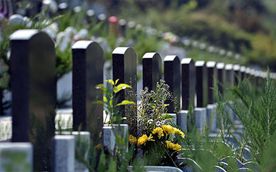 草坪葬你听说过吗？