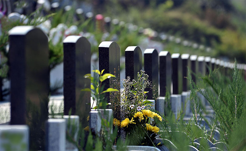 草坪葬你听说过吗 草坪葬你听说过吗