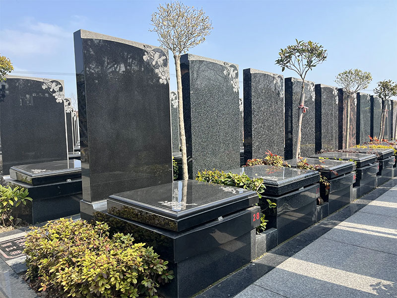 墓地有三纲 墓地有三纲