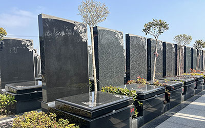 新墓对后人有什么影响？