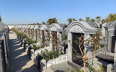 墓地上长竹子可以砍吗？