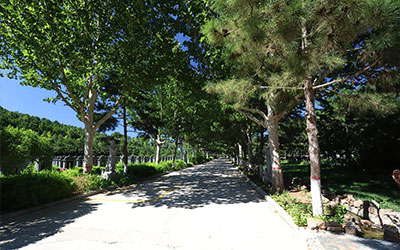 怎么可以更改墓园的堪舆