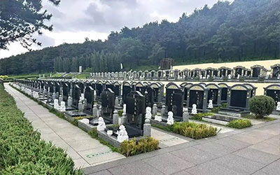 到底什么是打墓