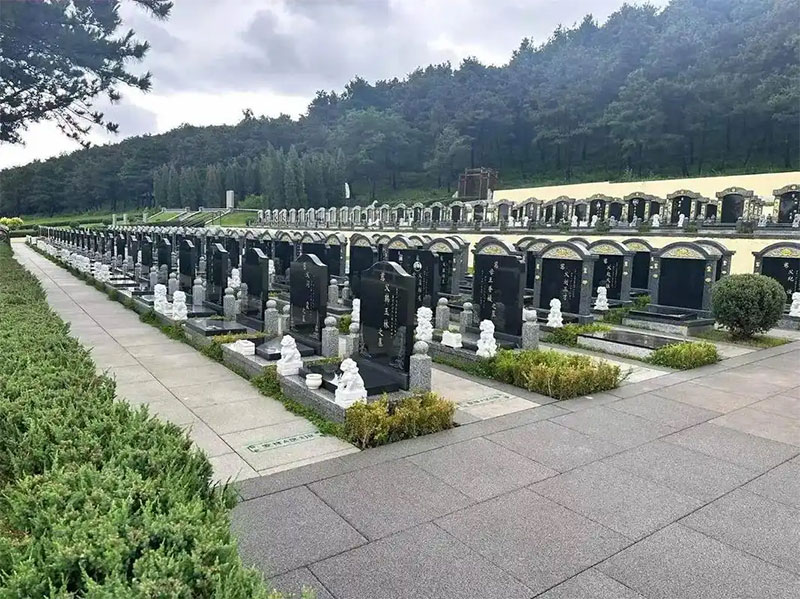 到底什么是打墓