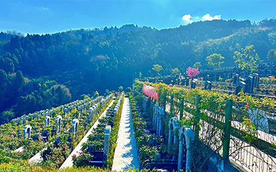 在昆明墓园里选择“4”这个数字真的不好吗？