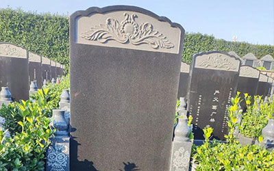 墓位管理费到期骨灰会被处理吗？