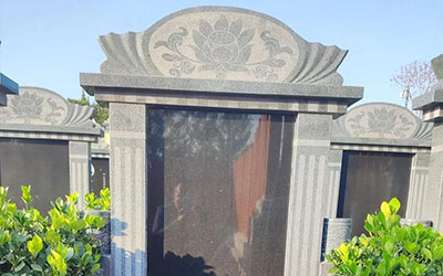 墓园内有什么绿植好？