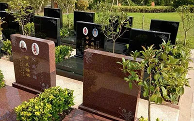 独留一方在世，百年后如何安葬？