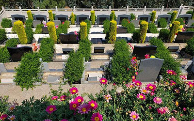 昆明墓园排号越高为什么越贵？