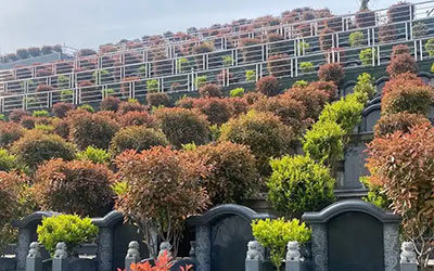 下葬仪式的重要性