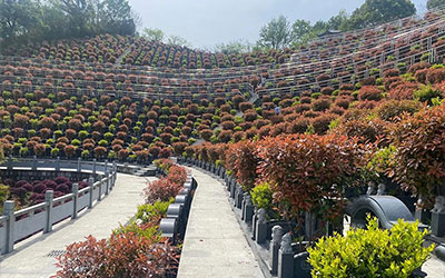 清明修墓注意什么