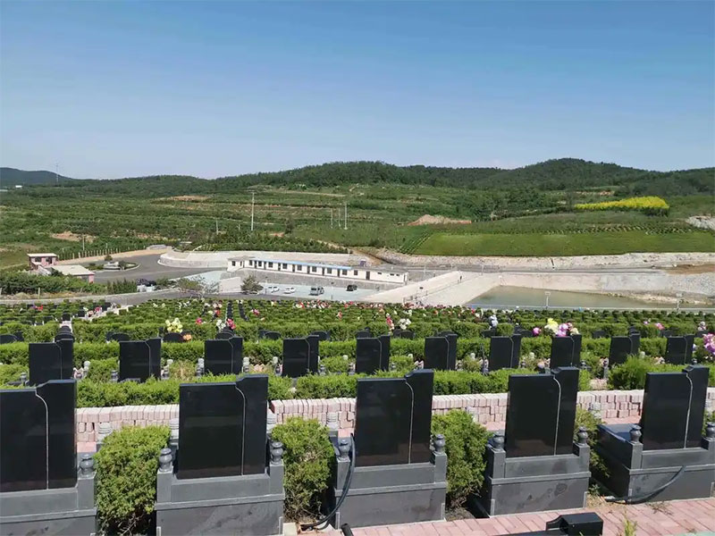 怎样化解墓地的戾气你知道吗 怎样化解墓地的戾气你知道吗