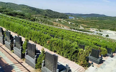 奶奶的墓地会影响谁？