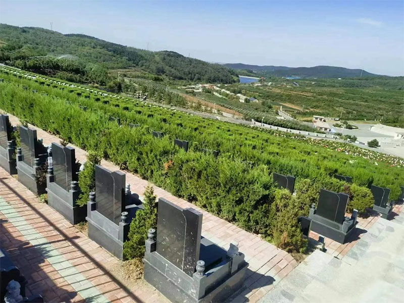 奶奶的墓地会影响谁 奶奶的墓地会影响谁