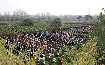 葬中吉地怎么来分辨？