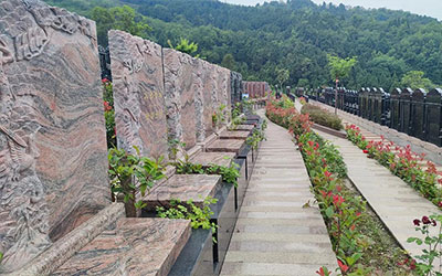 公墓周边植树风水禁忌解析