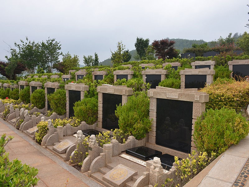 死后不留骨灰、不买墓地、不求祭拜：这类人在追寻怎样的生命哲学