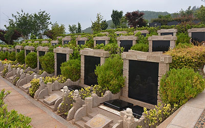 死后不留骨灰、不买墓地、不求祭拜：这类人在追寻怎样的生命哲学