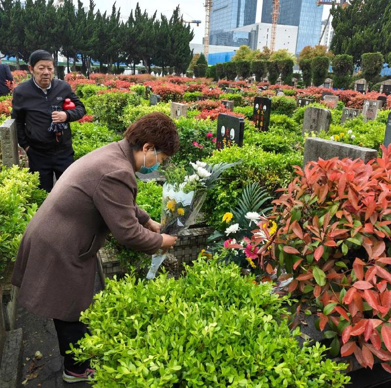 清明节扫墓有什么禁忌？清明节扫墓要注意哪些礼仪？