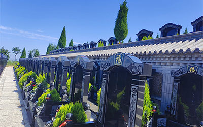 公墓使用与管理的全面解析