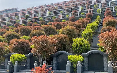 公墓的冷知识，你知道多少？