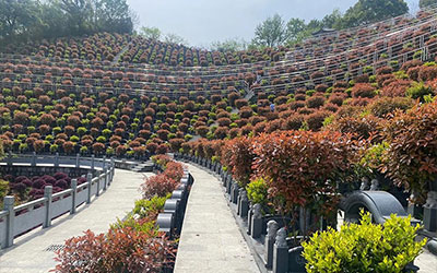 墓地风水大有讲究，论传统风水学的“风水宝地”模式！