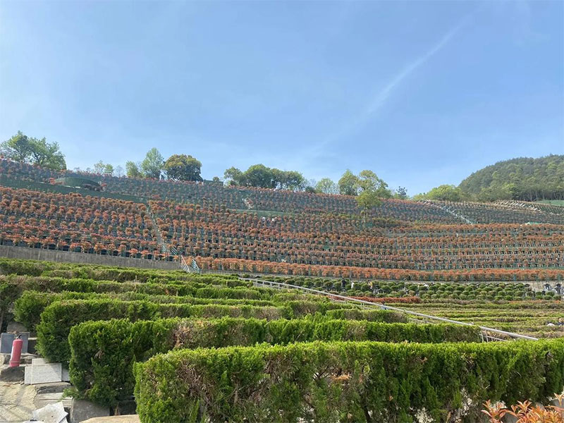 公墓的性质有几种 公墓的性质有几种