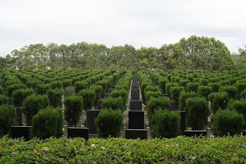 墓地风水大全 墓地风水大全