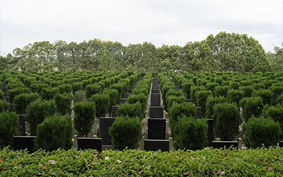 墓地风水大全