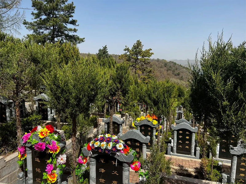 如何判断墓地风水的好坏