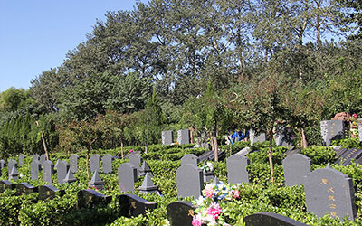 如何看墓地风水