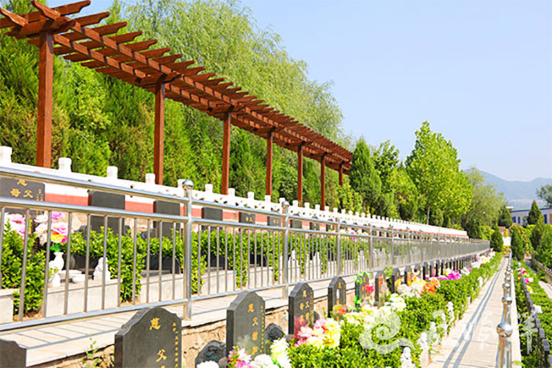 怎么看墓地风水好