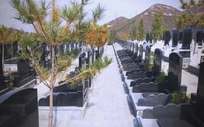 公墓类型详解：公益性与经营性公墓的区别