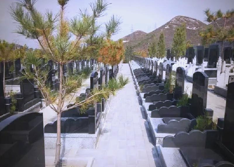 公墓类型详解：公益性与经营性公墓的区别