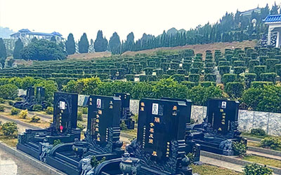 墓地有什么讲究？