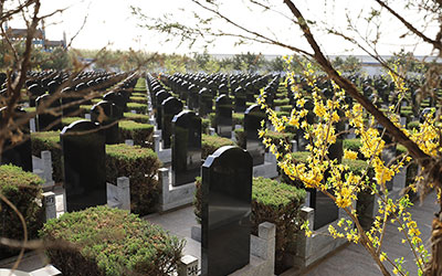 墓地使用权及续费问题一览