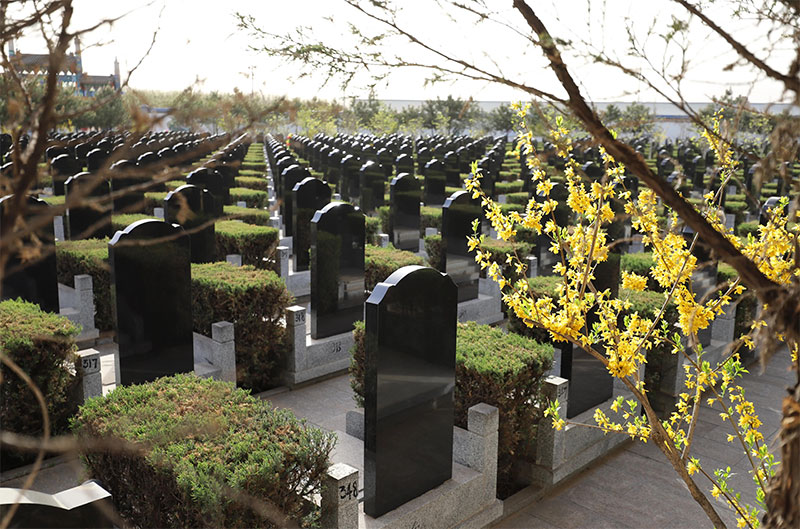 墓地使用权及续费问题一览 墓地使用权及续费问题一览