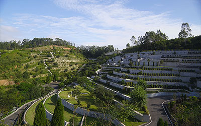 什么是树葬？树葬有年限吗？