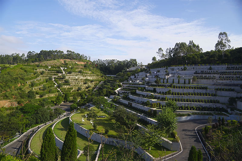 什么是树葬？树葬有年限吗？