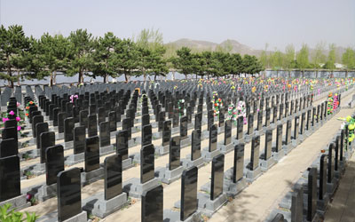 公墓到期了怎么办？