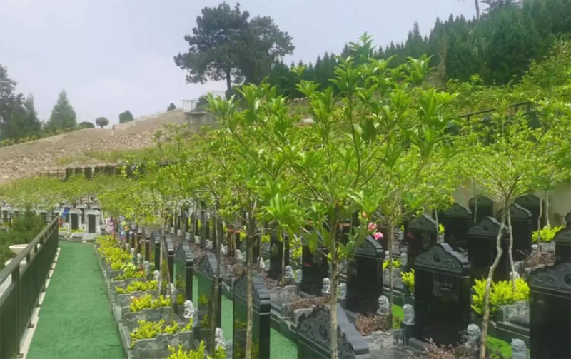 到期后如何续费?无人续费的墓地会如何处理? 到期后如何续费?无人续费的墓地会如何处理?