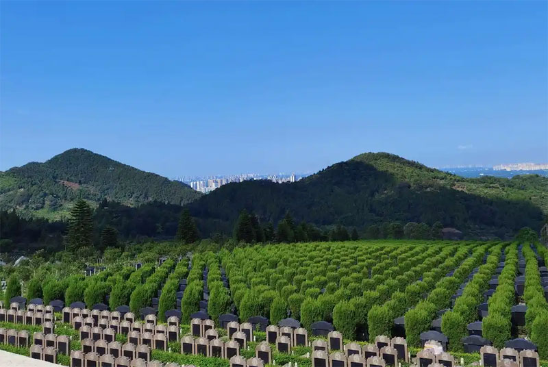 墓地的产权性质（租赁制vs永久产权？） 