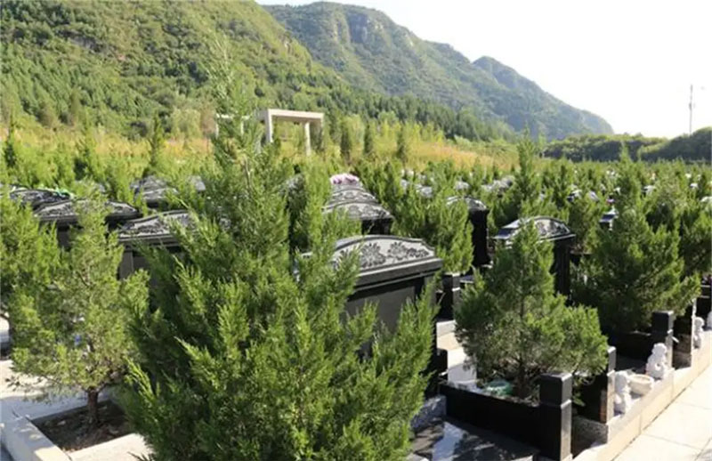 传统墓葬、生态葬、新型葬式的区别与特点 传统墓葬、生态葬、新型葬式的区别与特点