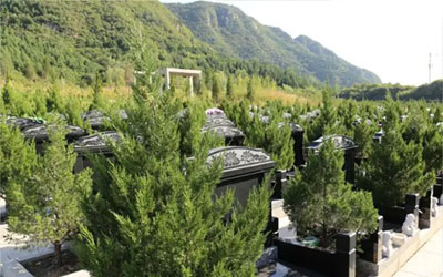 传统墓葬、生态葬、新型葬式的区别与特点