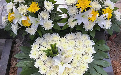 殡葬仪式中，家属怎么排位？